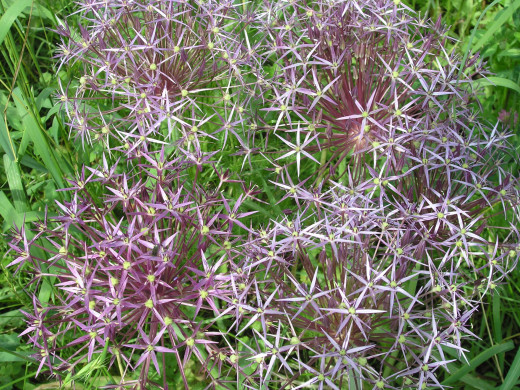 434749 (a): :2400x1800